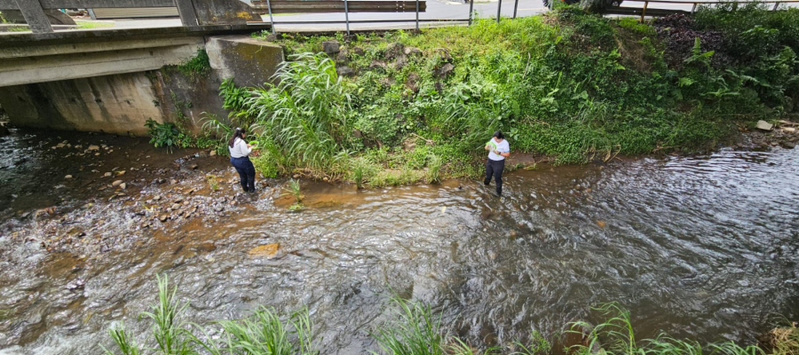 Muestreo de macroinvertebrados en ríos
