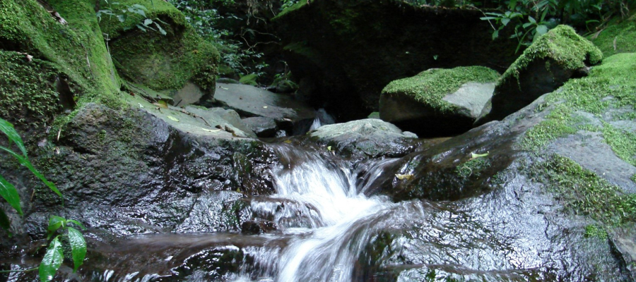 Nuestro motor: El Agua